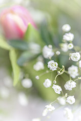 Flowers and flowers - gentle start to spring. Tulips and ranunculus in front of wood background.