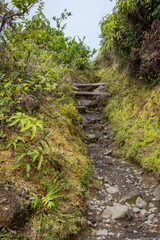 Trail to an active volcano La Soufriere, Guadeloupe, Caribbean