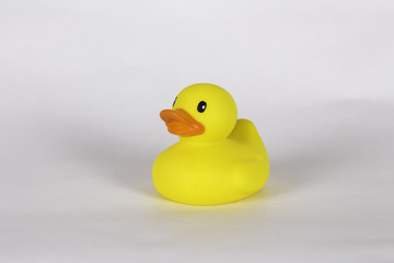 Rubber Duck