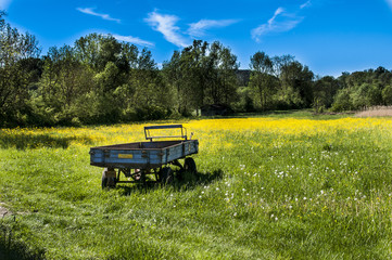 Graslandschaft mit altem Wagen