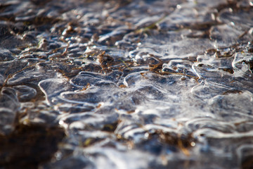Frozen details of frosty grasslands covered with frost in the suns rays