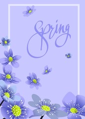  inscription spring and blue spring flowers on a lilac background