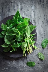 Fresh Mint Leaves on dark moody background, selective focus