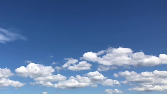 HD Video time-lapse of cumulonimbus clouds rolling East to West across the frame while Cirrocumulus clouds roll south west to north east across the frame. Blue sky background. Pre-storm activity.