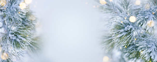 Fototapeta na wymiar Christmas decoration banner. Snowy pine branch under snow with Christmas lights