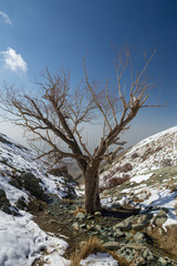 Obraz premium Hiking in Tochal, Tehran, Iran