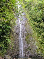 Manoa Falls in Honolulu