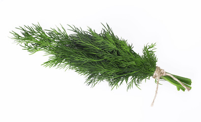 A bunch of fresh dill tied with a rope isolated on a white background