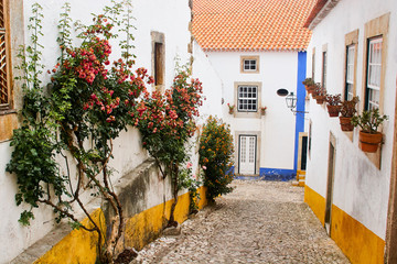 Street in the medieval portuguese city. Portugal, Obidos