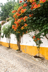 Street in the medieval portuguese city. Portugal, Obidos