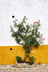 Street in the medieval portuguese city. Portugal, Obidos