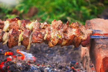 appetizing pieces of roasted meat on the fire.