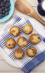 Baked Blueberry Muffins on a Kitchen Counter