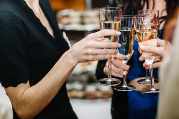 Cheerful girls clinking glasses of champagne at the party