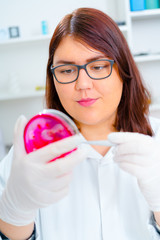 Laboratory assistant in the laboratory of of food quality
