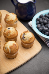 Baked Blueberry Muffins on a Kitchen Counter