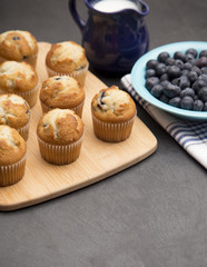 Baked Blueberry Muffins on a Kitchen Counter