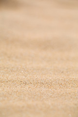 Fototapeta na wymiar in the coastline beach abstract sand
