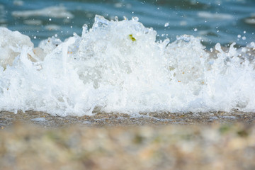 Seashells on a sandy beach near the sea, summer sunny day. Sea wave.