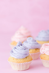 Cupcakes decorated with pink and violet buttercream standing on pastel pink background