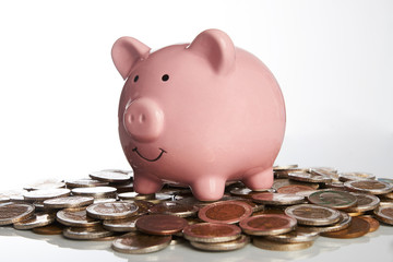 Pink piggy bank standing on coins money isolated on white background, suggesting money savings concept