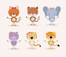 white background withset cute female animals love vector illustration