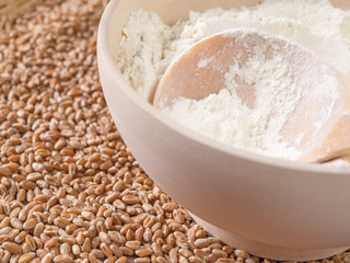 Flour in a bowl, wheat ears on a background of scattered wheat.