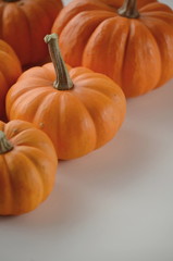 Pumpkin in a fall nest of corn and red berries. Happy Thanksgiving orange pumpkins background. 