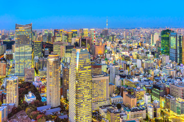 Fototapeta na wymiar Tokyo skyline, Japan.