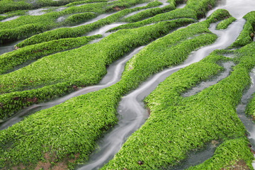 Laomei green reef at the north coast of Taiwan.