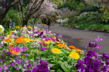 Colorful flowerbeds along the alley in the park