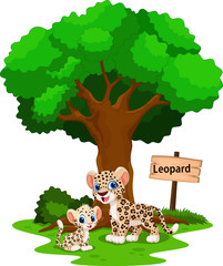 Funny leopard under a shady tree with a sign the identity