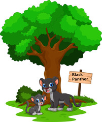 Funny black panther under a shady tree with a sign the identity