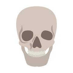 skull head skeleton icon vector illustration design
