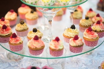 Wedding reception dessert table with delicious decorated cupcakes 