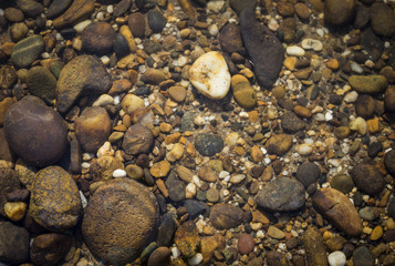 Nature concept background of stone under clear river water