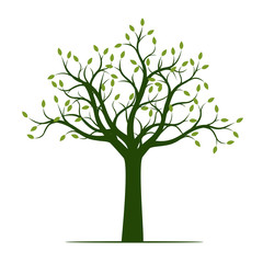Obraz premium Green Tree with Leaves. Vector Illustration and graphic element.