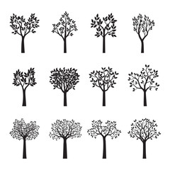 Obraz premium Set Black Trees with Leaves. Vector Illustration.