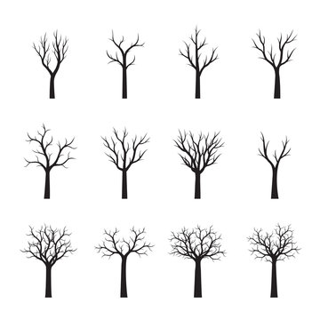 Set Black Trees without Leaves. Vector Illustration.