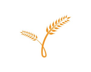 wheat Logo Template