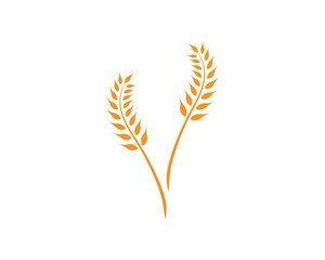 wheat Logo Template