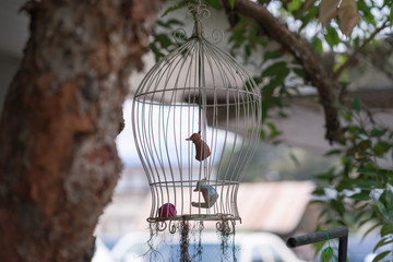 Bird statue in a bird cage in the garden.