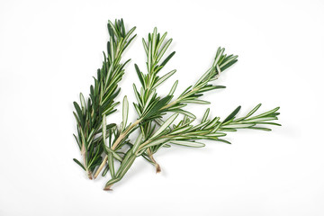 Fresh green sprigs of rosemary isolated on a white background