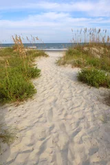 Fotobehang Duinen Summer afternoon marine landscape with way to the atlantic ocean beach through sand dunes at the Huntington Beach State Park, South Carolina, USA, myrtle Beach area. View before hurricane Matthew.  © Maryna