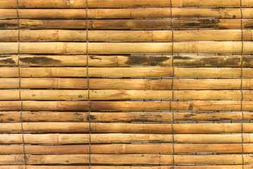 horizontal yellow bamboo for background texture