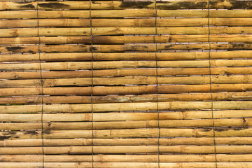 horizontal yellow bamboo for background texture