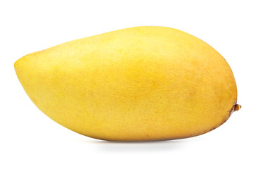 mango isolated on a white background.