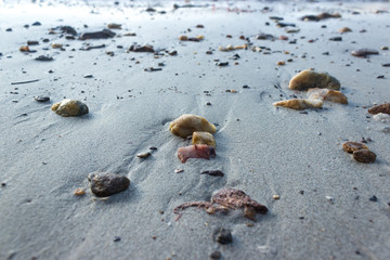 pebbles on a sand beach in morning