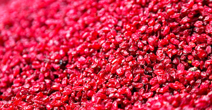 factory of dried cranberries