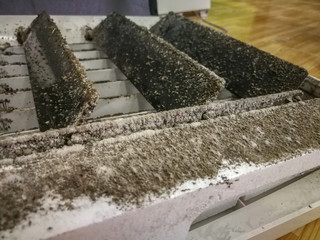 Dust fungus on the wind blade leaves in the air conditioner lack of care and Cleaning service.